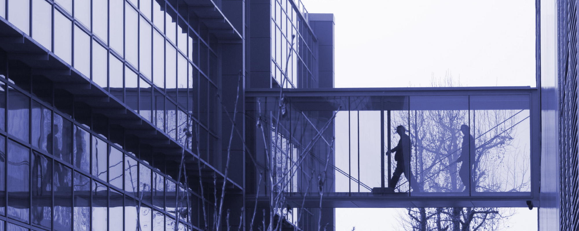 Walking across a pathway between two office buildings