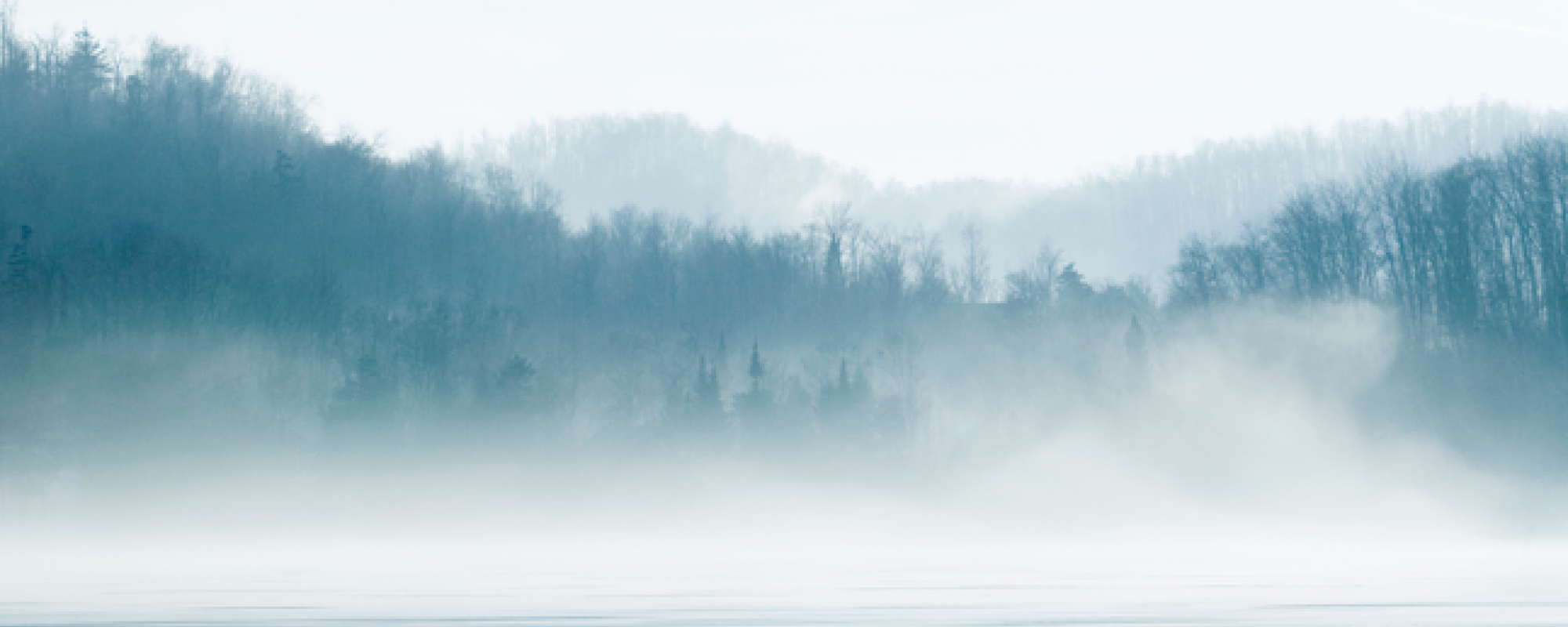 Foggy Lake