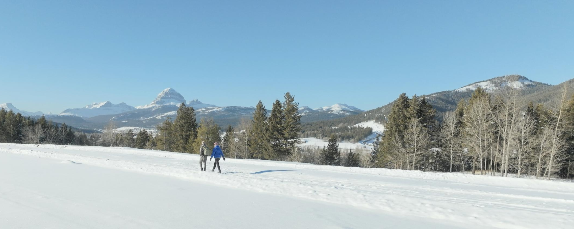 Two people taking a walk in the snow.