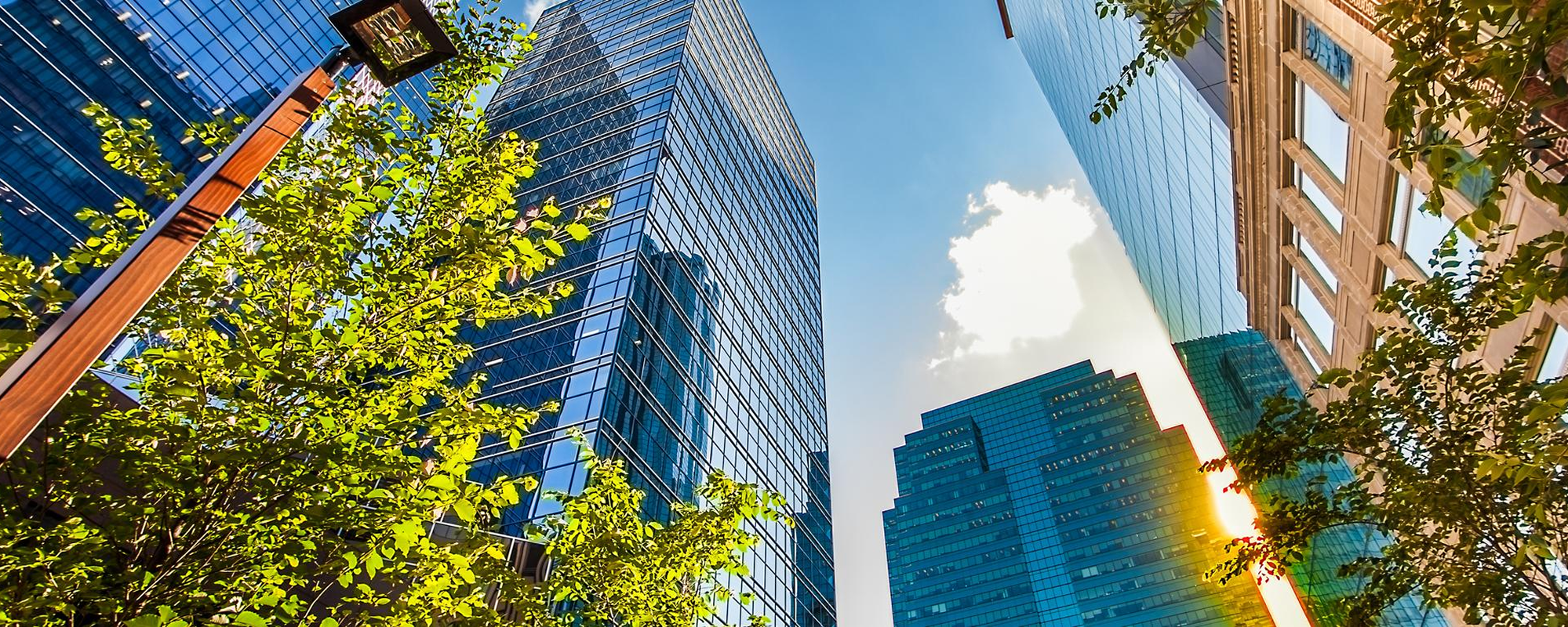 Office buildings with trees in foreground.