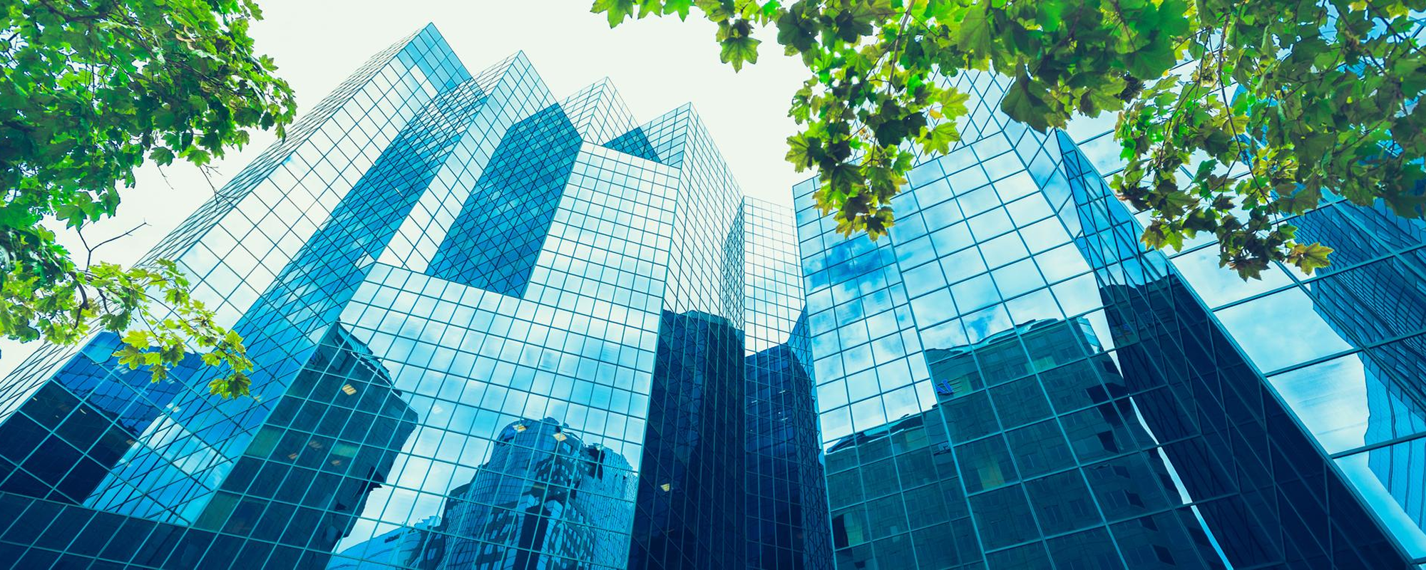 Office buildings surrounded by trees.