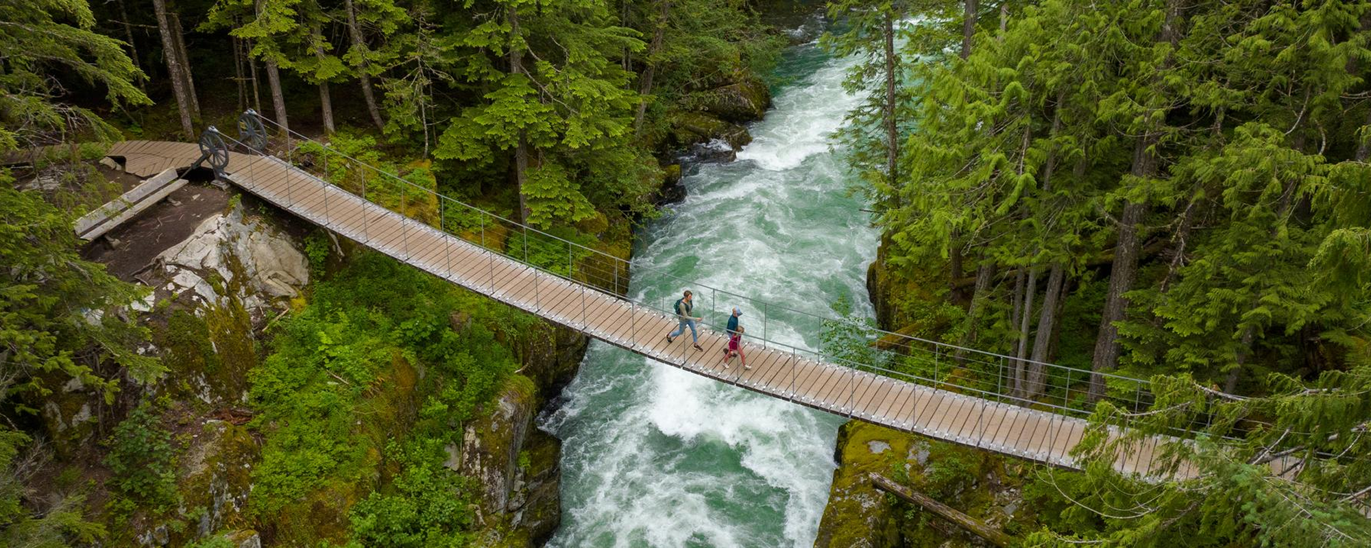 people walking across bridge through the forest.