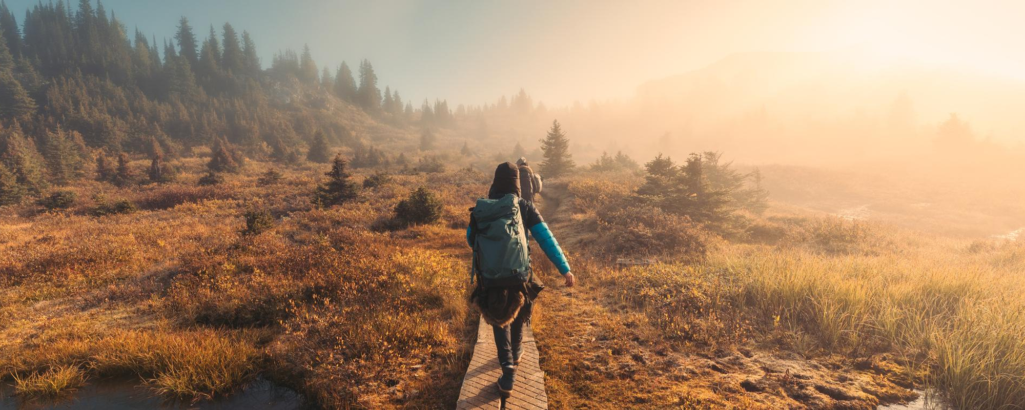 Person walking on path through meadow and forest.